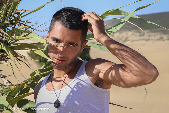 Sergio V