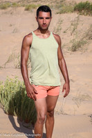 Sergio V