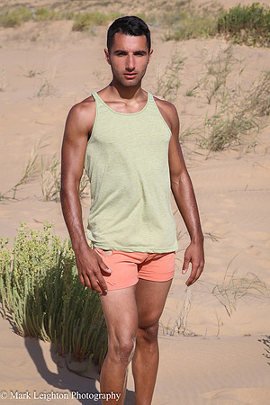 Sergio V