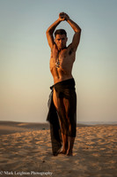 Sergio V