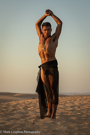 Sergio V