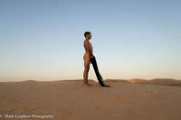 Sergio V