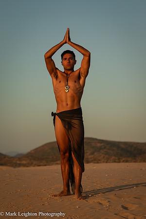 Sergio V