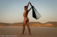 Sergio V