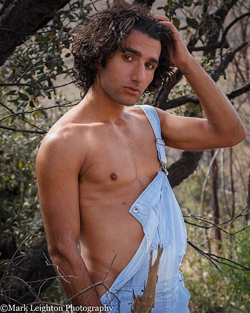 Sergio V