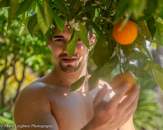 Grigor