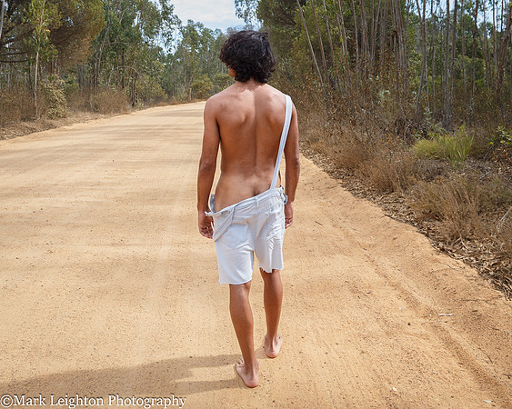 Sergio V